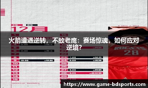 半岛体育APP