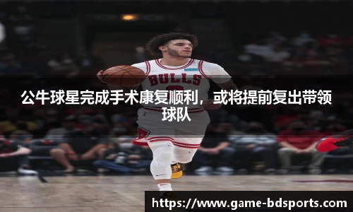 半岛体育APP