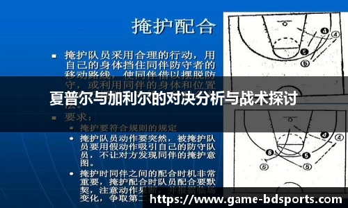 半岛体育APP