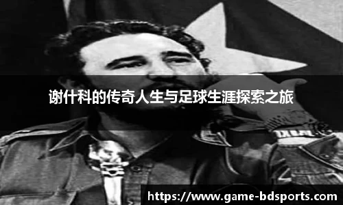 半岛体育官方网站
